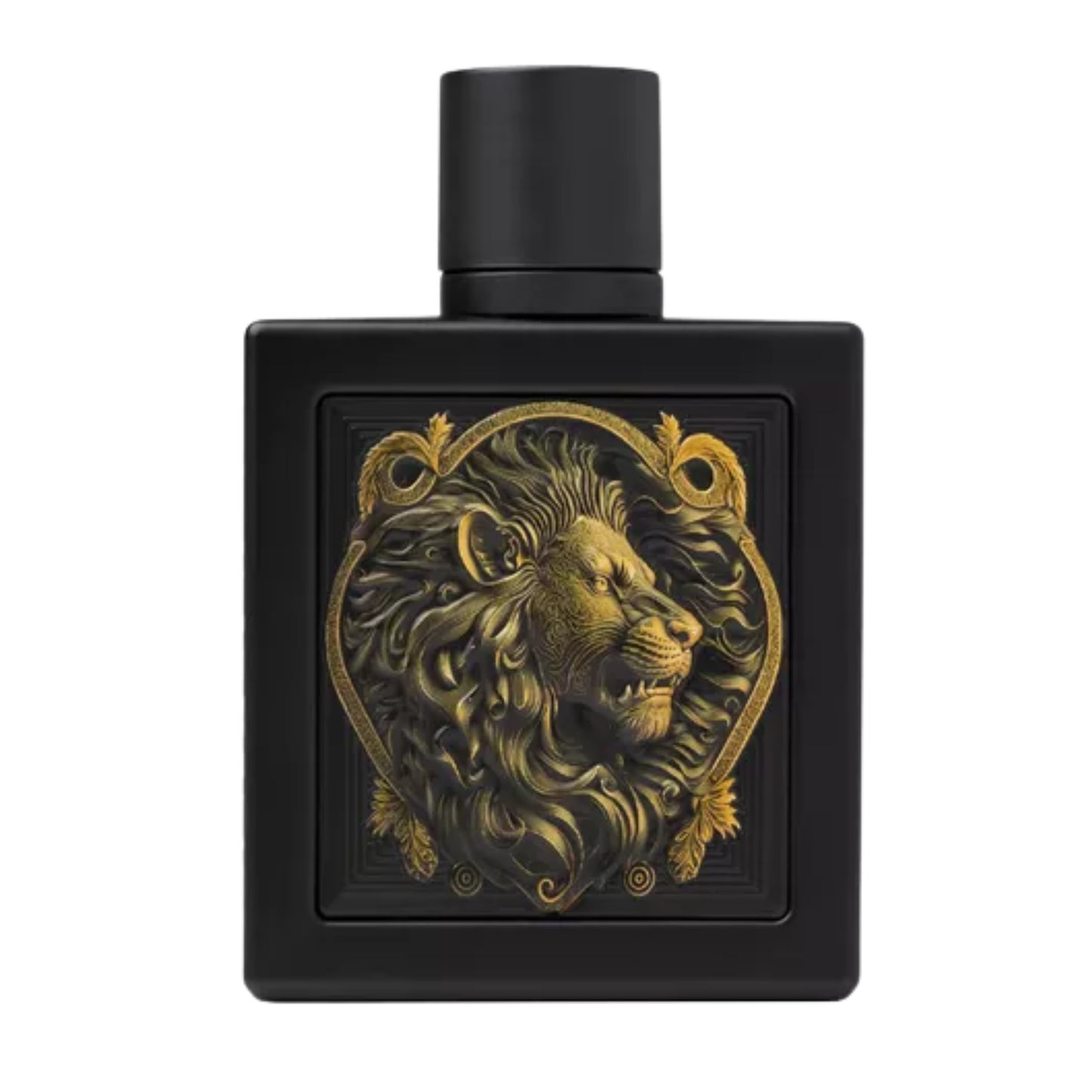 RAYHAAN LION