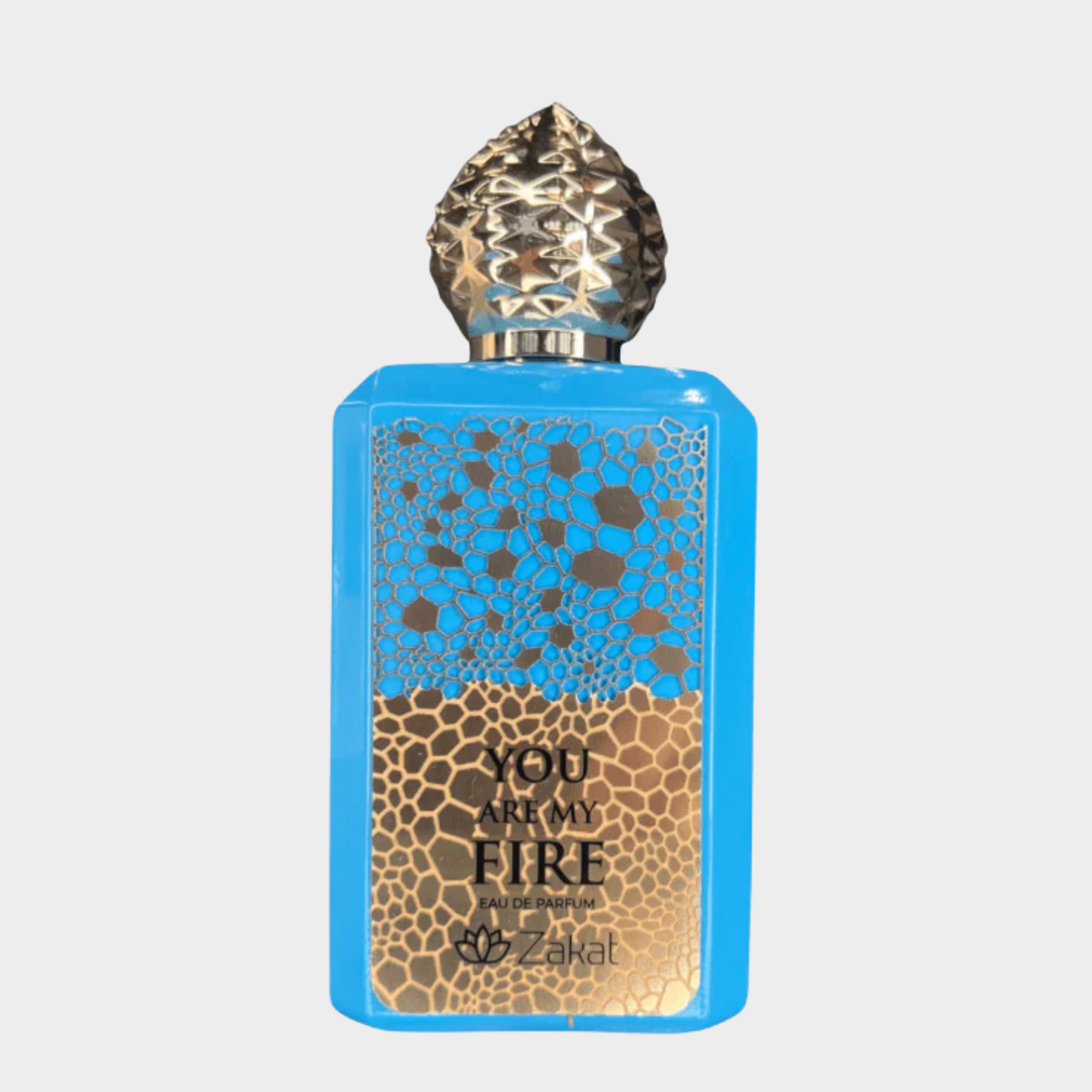 ZAKAT YOU ARE MY FIRE 100ML EDP Imagen principal del producto