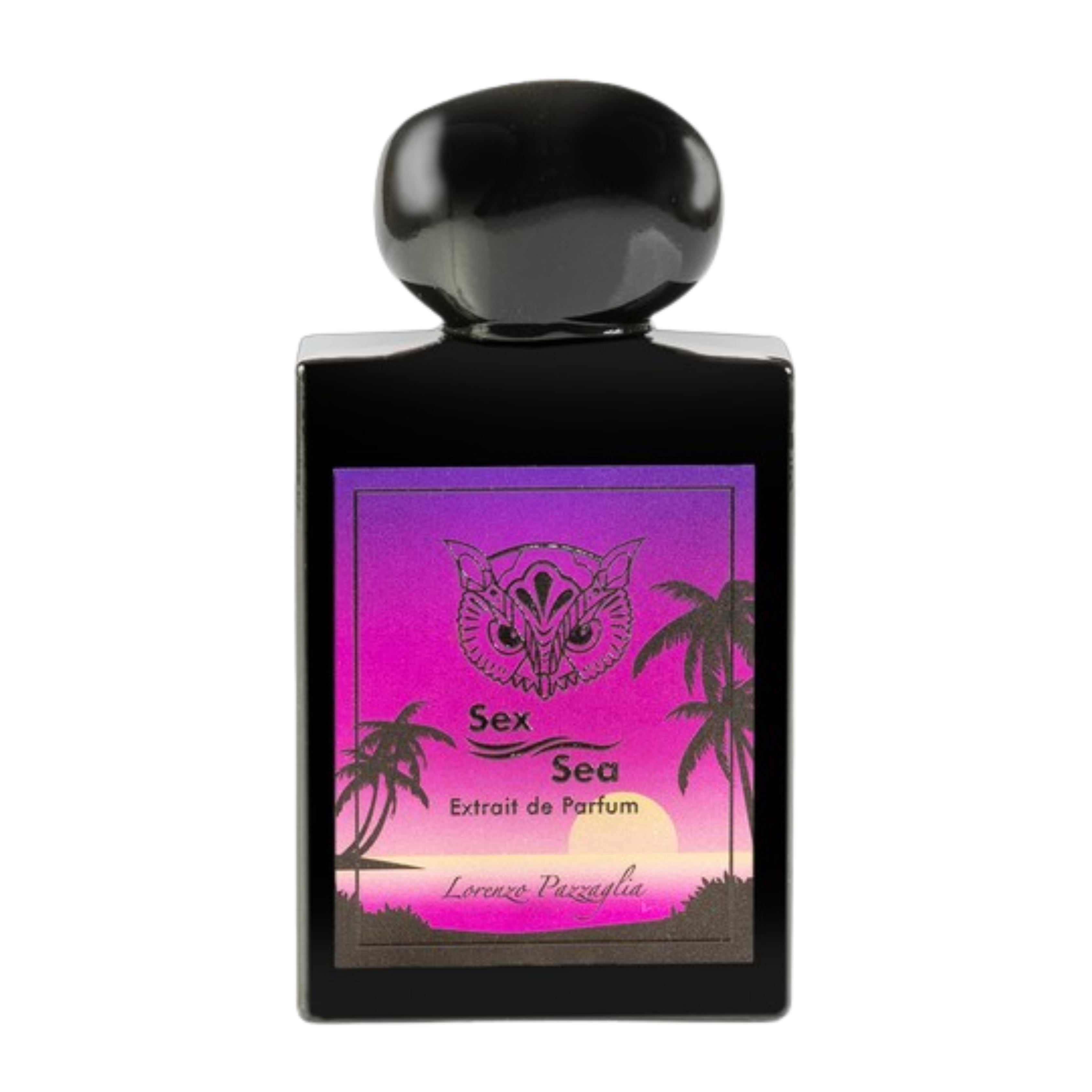 LORENZO PAZZAGLIA SEX SEA